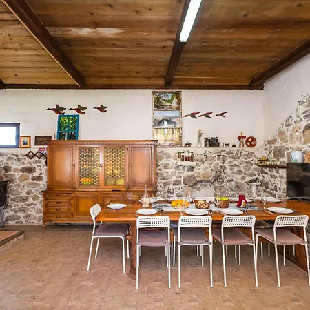 Pet Friendly In With Kitchen