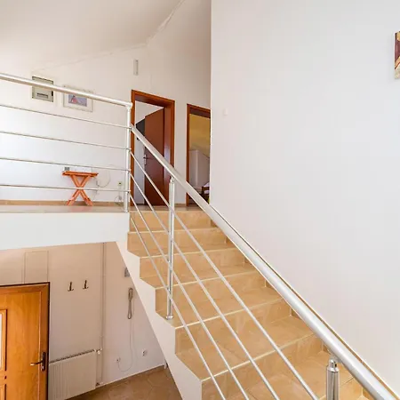 Pet Friendly In With Kitchen